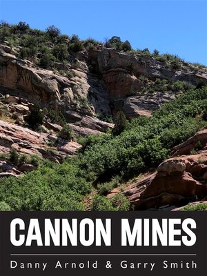 cover image of Cannon Mines